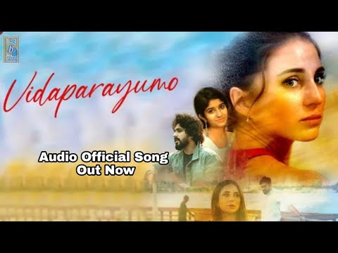 Vidaparayumo | Varun Dharmarathnam | Rohith Satheesh, Daria Pilipenko | Audio Song | Bigb-Music