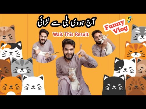 Neeli (بلی) 😺 Hovi Gussa 👿