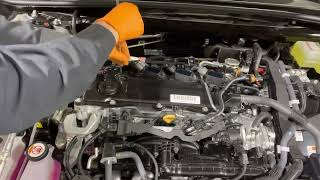 2019-2024 Lexus ES300h Hybrid 2022-2024 NX350h NX450h+ Spark Plug Replacement Instructions