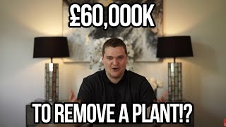 £60K TO REMOVE JAPANESE KNOT WEED!