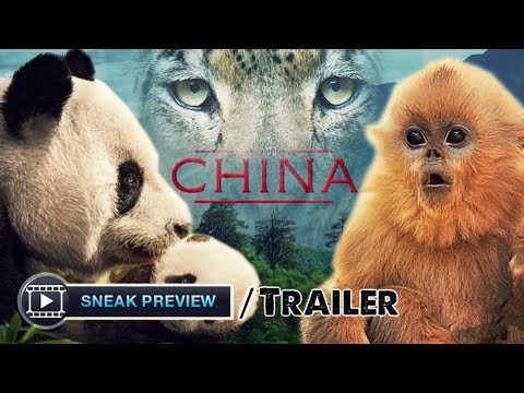 Born In China - Movie Clip & Official Earth Day Trailer (2017) Disneynature Movie HD