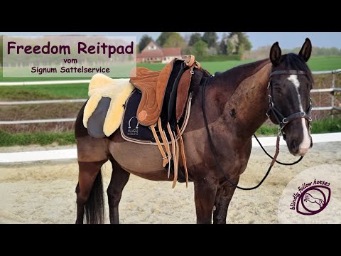 Reitpads im Vergleich Teil 1: Omega Inovation Pad Freedom vom Signum Sattelservice