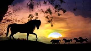 Tori Amos- Horses