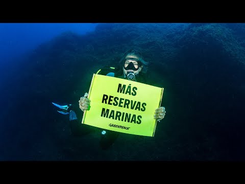 GÁDOR MUNTANER: NECESITAMOS MÁS RESERVAS MARINAS