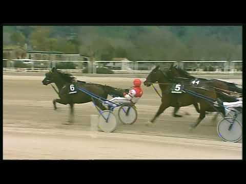 Trotto 02/02/2020 - 3ª corsa