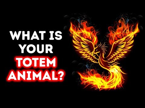 What's Your Soul Animal? A Cool Personality Test