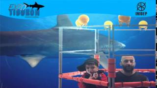 DIA 2 Expo Tiburon316