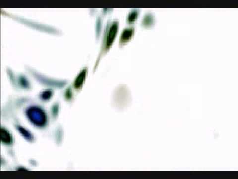 Phrakture - Chamber of the Hourglass