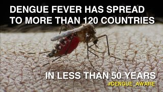 Dengue Fever Has Spread To 120 Countries In 50 Years