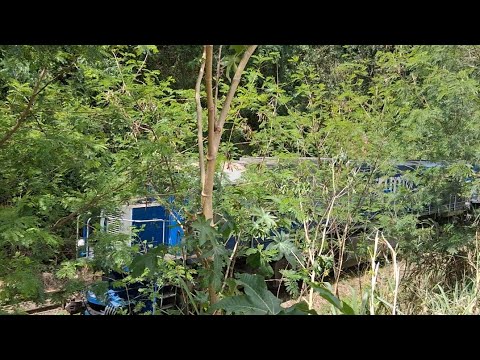 Trem misto em Califórnia-PR locomotivas ES43BBI com Containers e graneleiros vazios.19/10/2025