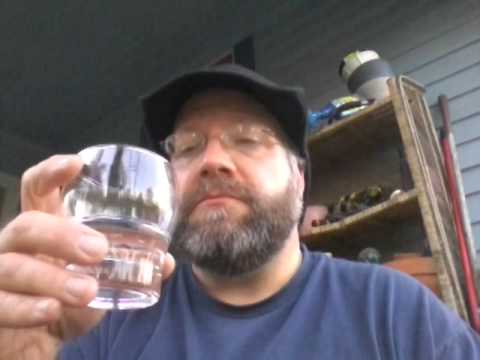 download lagu mp3 mp4 The Parrot Bay, download lagu The Parrot Bay gratis, unduh video klip The Parrot Bay