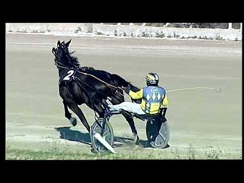 Napoli Trotto 18/01/2022 - 1ª corsa