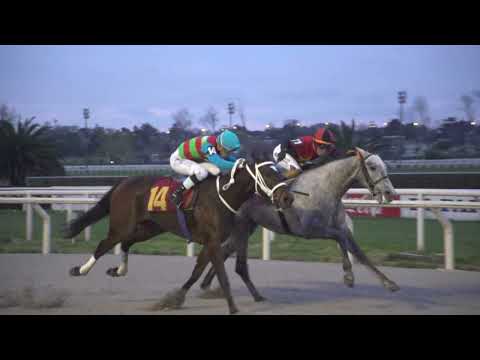 230924 c08 VILLARRICA