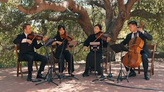 String Quartet | Vital Event Group