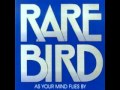 Rare Bird - Hammerhead (As Your Mind Flies By ...