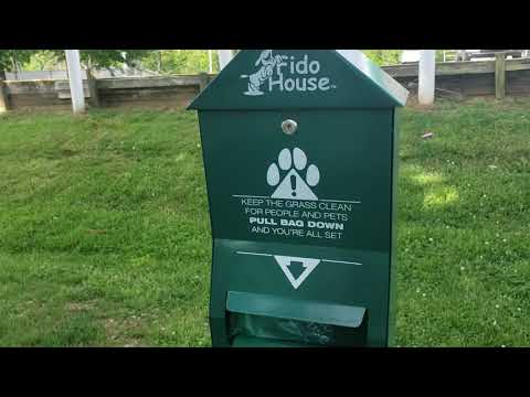 Motel 6 is now Super 8 in Asheville exit 55 extremely pet friendly near Blue Ridge Parkway