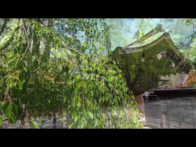 2024 [Kakunodate’s Fresh Greenery] April 29th