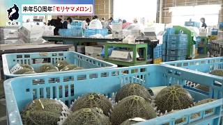 6月24日【びわ湖放送ニュース】【記者解説】未来につなげ！モリヤマメロン