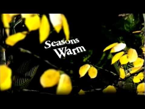 DJMAX Portable 3 BGA - Seasons (Warm Mix) by Makou
