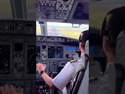 Boeing 737 Max Landing  - Cockpit View #shorts