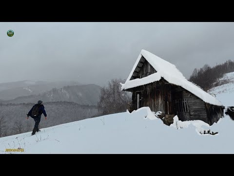 Iarna Grea a ajuns în Munții Apuseni – Prinsi de Furtuna de Zăpadă într-o Gospodărie veche