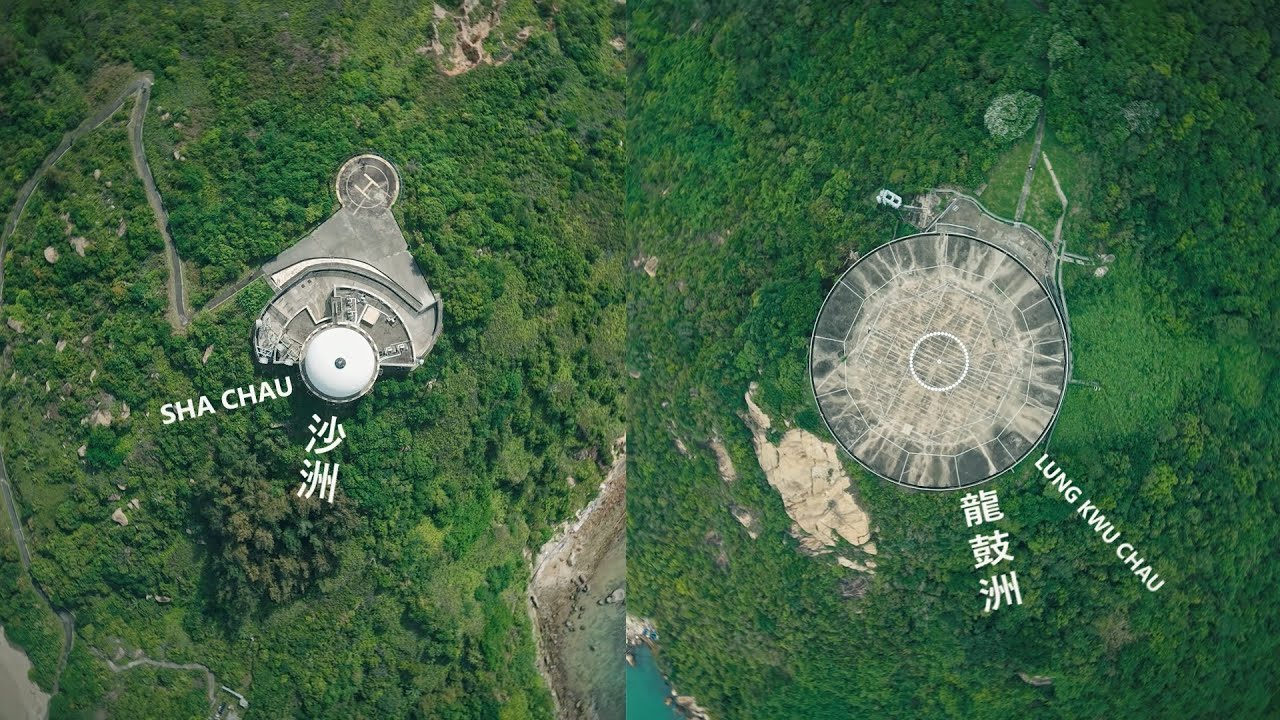 Eco-tour to Sha Chau & Lung Kwu Chau Marine Park – protect Hong Kong’s wildlife