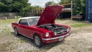 بيع سيارة ذات سقف قابل للطي Ford Mustang - صورة 4 | Autoline SA سيارة ذات سقف قابل للطي Ford Mustang | صورة 4 - Autoline