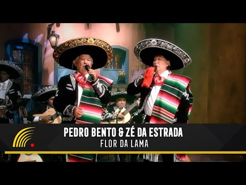 Pedro Bento & Zé Da Estrada - Flor Da Lama - 55 Anos De Sucesso