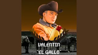 Maria Bonita (Con Mariachi)