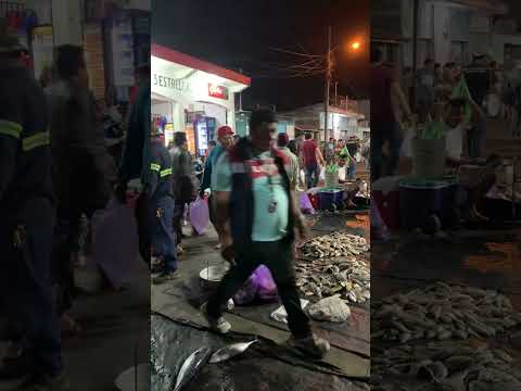 Puerto Iztapa escuintla Guatemala