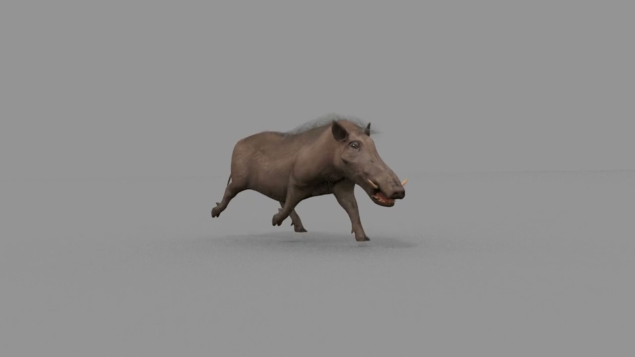 Warthog African pig - animated 3d fur model 3D Model