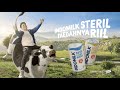 Indomilk Steril Ariel FaedahnyaRiill