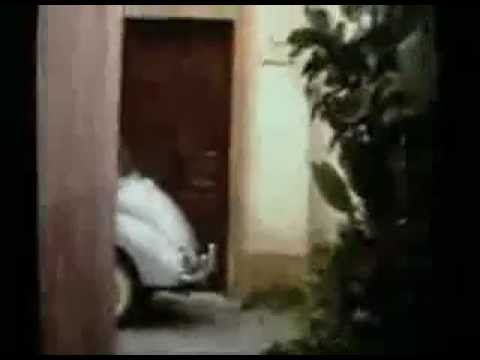 Extraterrestre grabado en una fiesta