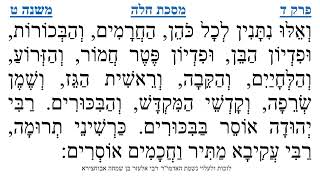 מסכת חלה פרק ד משנה ט