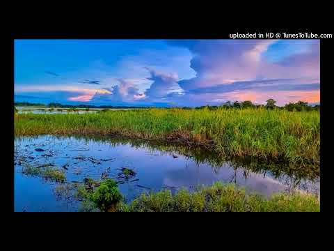 Gembog Medley - Felix Yausi (Sepik Hits)