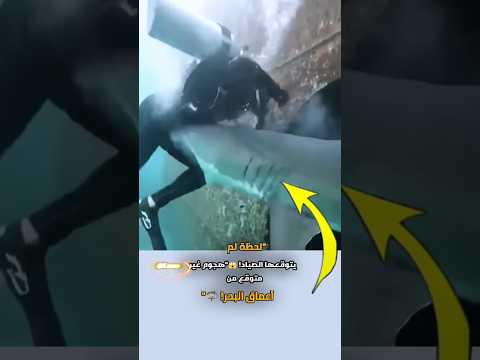 لحظه الهجوم الغادر.. لن تصدق ما فعله هذا القرش! 😱Shark Attack#تصاميم#عبارات# viral#متابعه #اكسبلاور