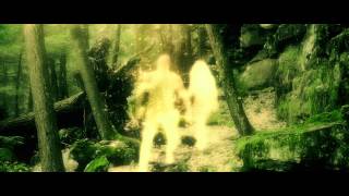"Picture of a Tree That Doesn't Look Okay" - TWIABP (official video)