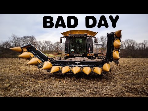 The WORST Day of the YEAR