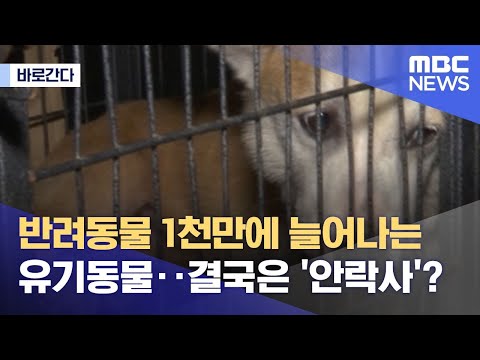 아이콘