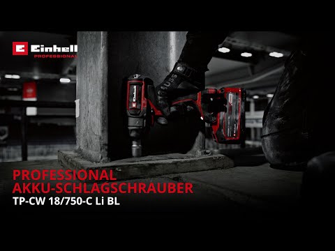 4510065 21014 001 TP CW 18 750 C Li BL DE