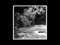 Un Jardin Encore Silencieux Avant Le Lever Du Jour - The Beautiful Schizophonic (Musicamorosa)