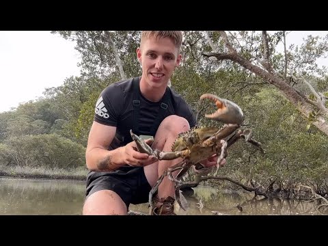 INSANE MUDCRAB CATCH IN THE MANGROVES (Sweet chilli catch and cook)