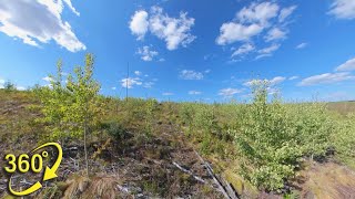 360° VR | Post-Fire IDF Landscape - Grouse and Aspen Regeneration