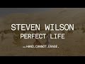 Steven Wilson - Perfect Life (from Hand. Cannot ...