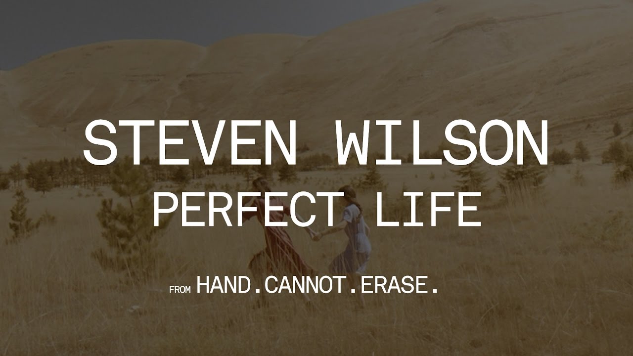 Steven Wilson - Perfect Life (from Hand. Cannot. Erase.) - YouTube