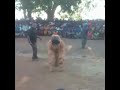 Gule Wamkulu Gathering