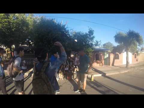 LDR BATALLA (ESTOK VS DREIKER) 4tos