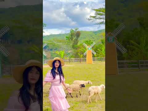 BÌNH YÊN TẠI LOCHOME FARM ĐÀ LẠT