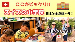 【海外の小学校】ここがビックリ!スイスの小学校~スイスの絶景と共にご紹介/日本の小学校体験入学