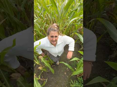 POV: Diese eine viel zu kleine Freundin